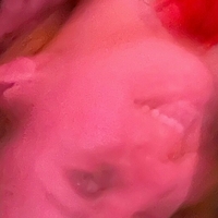 kylieerose777 Alaston