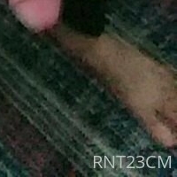 rnt23cm Alaston