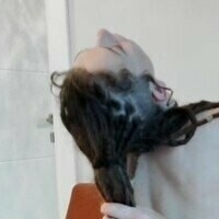 stalliondaddy Alaston